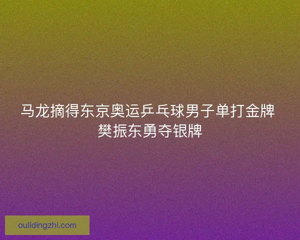 马龙摘得东京奥运乒乓球男子单打金牌 樊振东勇夺银牌