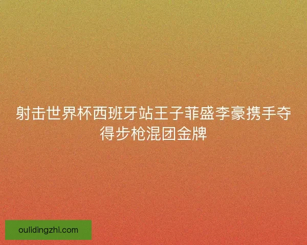 射击世界杯西班牙站王子菲盛李豪携手夺得步枪混团金牌