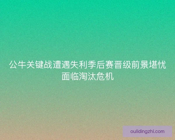 公牛关键战遭遇失利季后赛晋级前景堪忧面临淘汰危机
